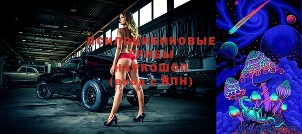 молекула духа Белокуриха