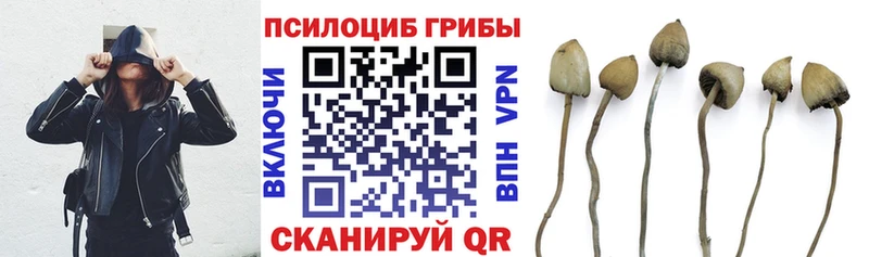 даркнет сайт  мега как зайти  Псилоцибиновые грибы Cubensis  Уфа 
